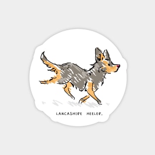 Lancashire Heeler Sticker